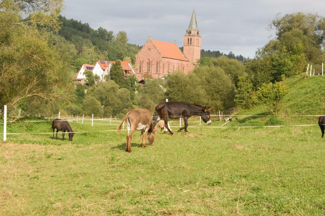 Ferienwohnung Spreter Zimmern ob Rottweil Esterno foto